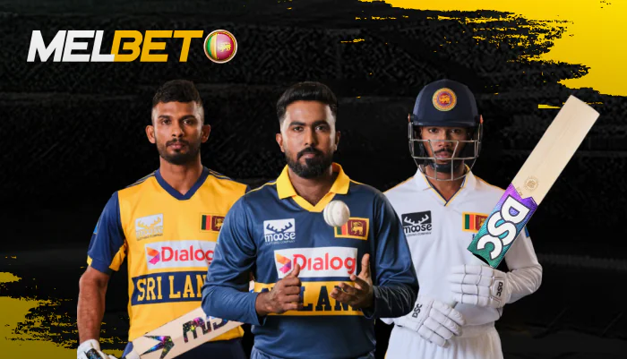 Cricket betting at Melbet